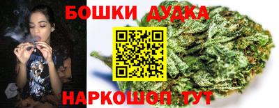 PSILOCYBIN Дубна