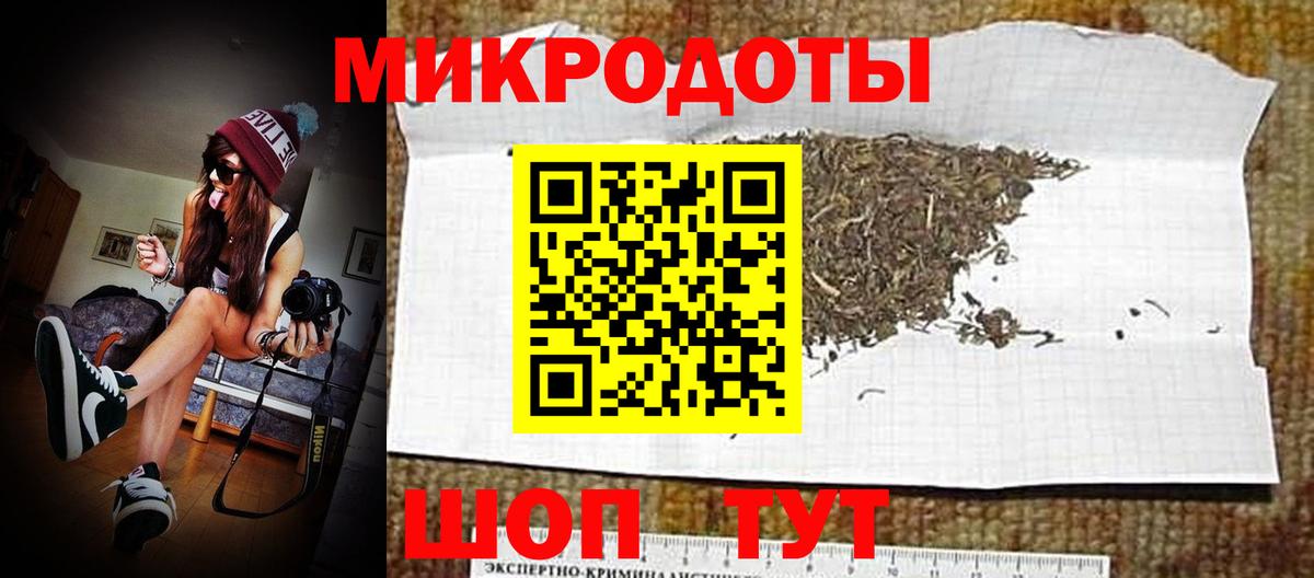 Псилоцибиновые грибы Cubensis Минусинск